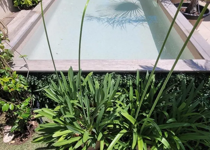 Larimar Etablissement- 200 M De La * Сент-Максим